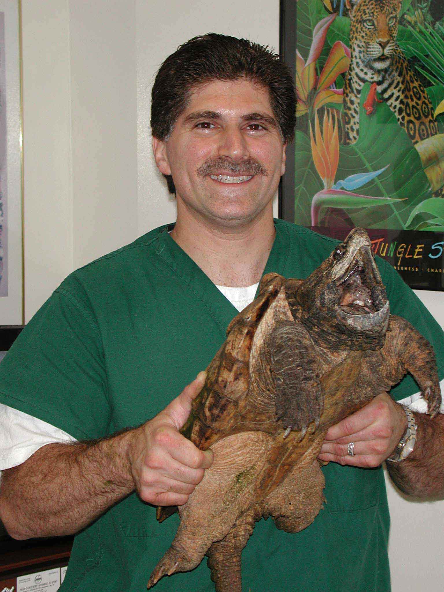 DocandSnappingTurtle.jpg