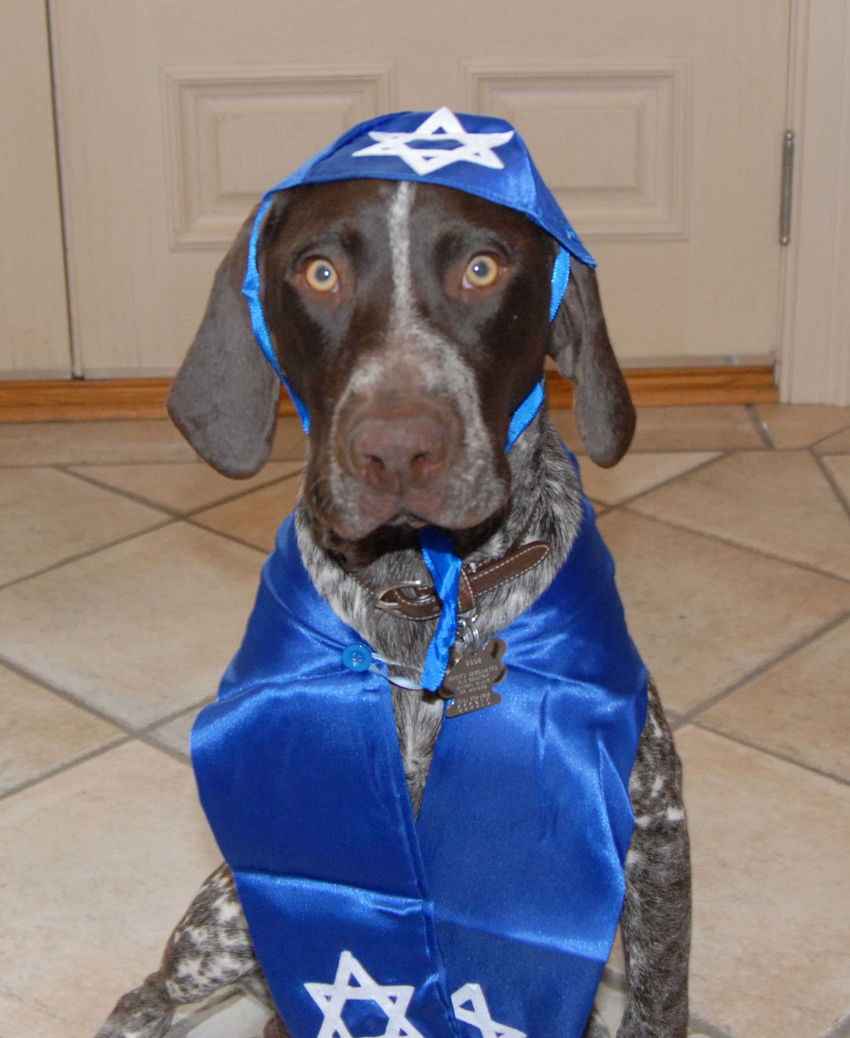 Jake-Hanukkah-2-for-web.jpg