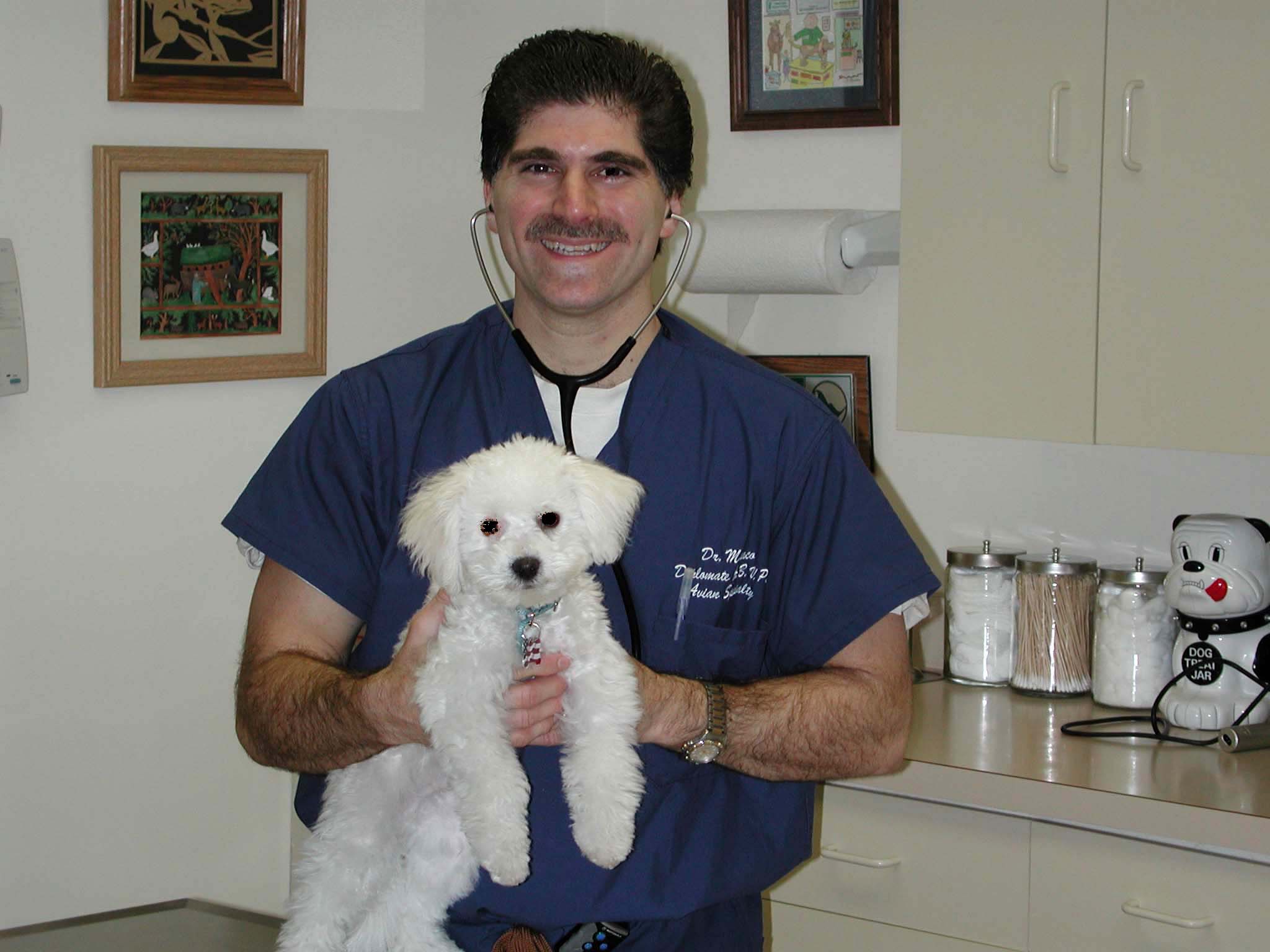 docandBichon.jpg